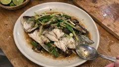 ปลากะพงนึ่งซีอิ๊ว สูตรนี้เนื้อนุ่มชุ่มฉ่ำ หอมขิง กินกับข้าวสวยอร่อยมาก