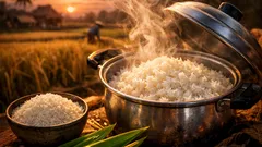 ข้าวหอมมะลิข้าวใหม่ต้นฤดูหอมกว่าจริงไหม รู้จักความต่างจากข้าวเก็บแบบเข้าใจง่าย