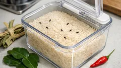 มอดข้าวมาจากไหน ทำไมปิดฝาแล้วยังเจอ พร้อมวิธีแก้แบบบ้านๆ